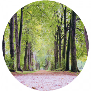 MENTE HUMANA MASTERCLASS gestión emocional